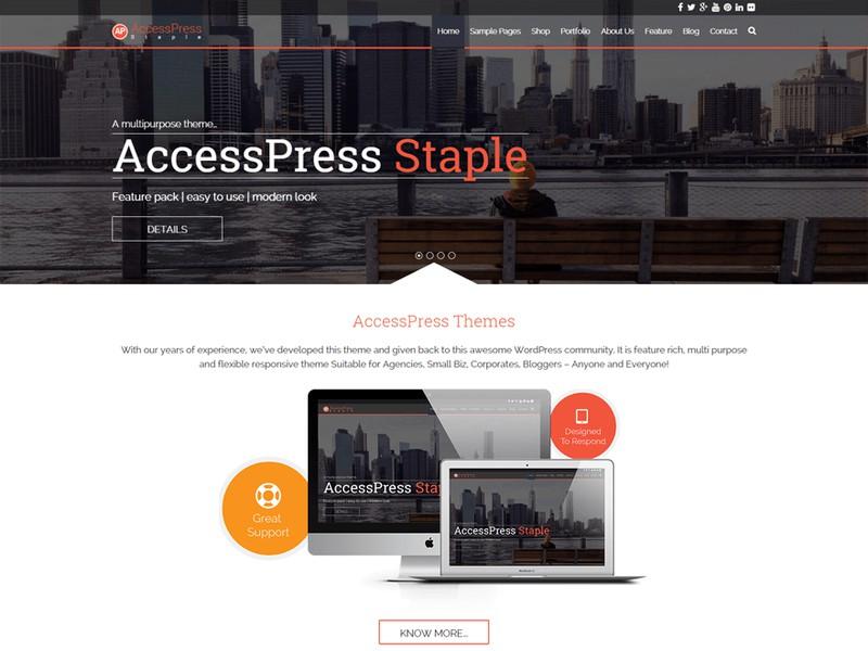 AccessPress Staple WordPress Theme