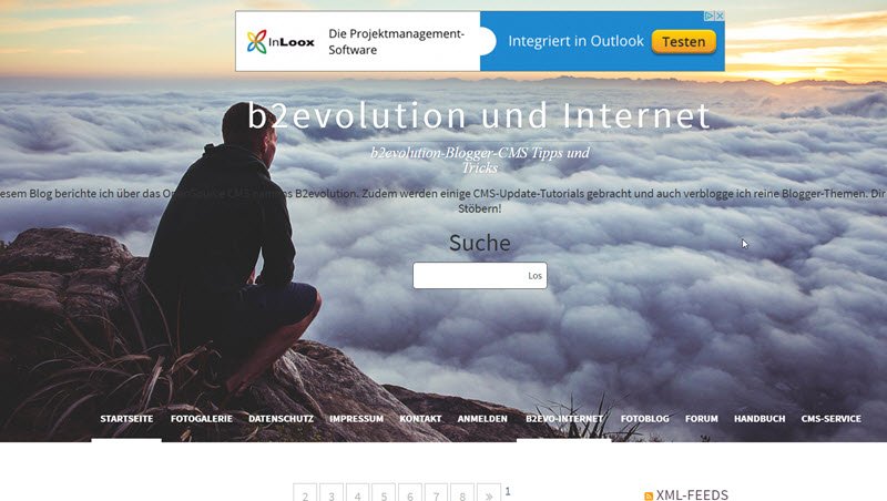 b2evolution-blog-im-frontend