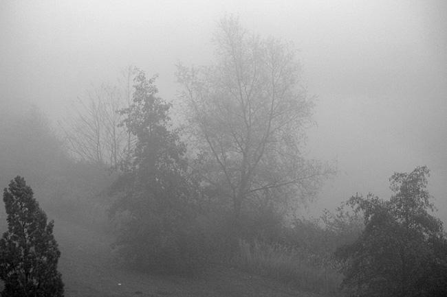 Artikelserie: Kommentier-Freitag vom 30.10.2015 auf Internetblogger.de