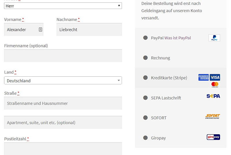 internetblogger-de-bolt-service-zahlungsmethoden