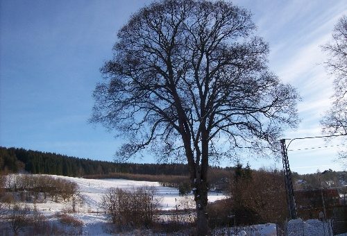 Thalheim Erzgebirge im Winter mit Schnee